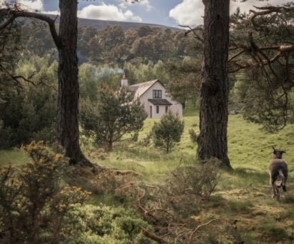 Beautiful Holiday Cottage in the Cairngorms, Scottish Highlands - Made Scotland