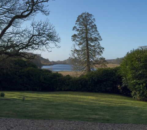 The Perfect Scottish Holiday Cottage in Dumfries & Galloway - Made Scotland