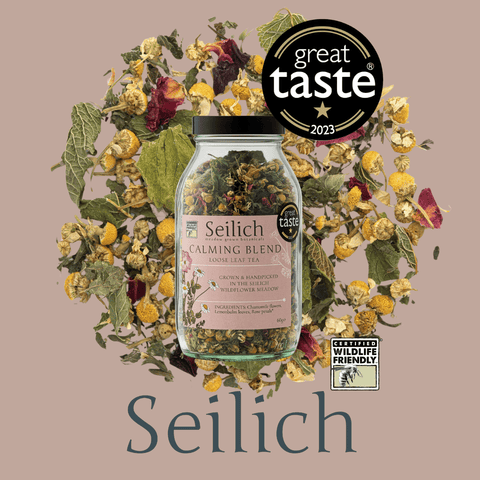 Calming Blend Tea - Glass bottle - Seilich - Made Scotland