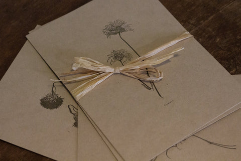 Letterpress Botanical Print Collection
