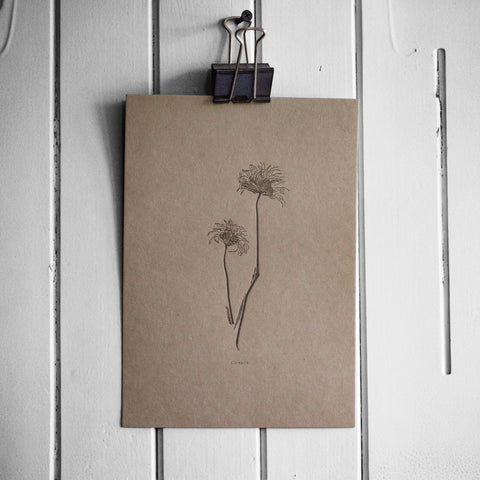 Letterpress Botanical Print Collection - The Hunter Press - Made Scotland