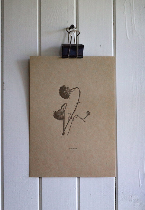 Letterpress Botanical Print - Cornflower - The Hunter Press - Made Scotland