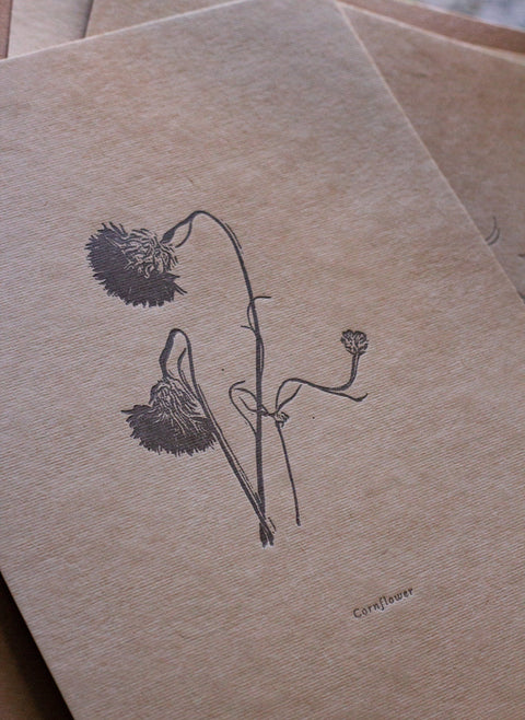 Letterpress Botanical Print - Cornflower - The Hunter Press - Made Scotland