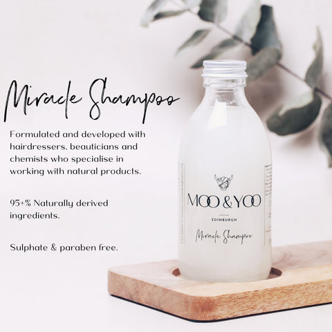 Miracle Shampoo