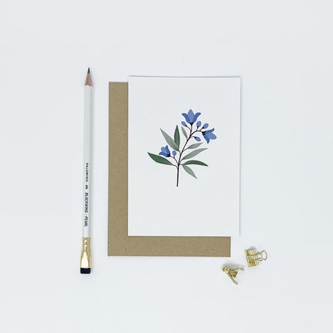 Pack of 6 Illustrated Flower Cards - Lomond Paper Co - Made Scotland