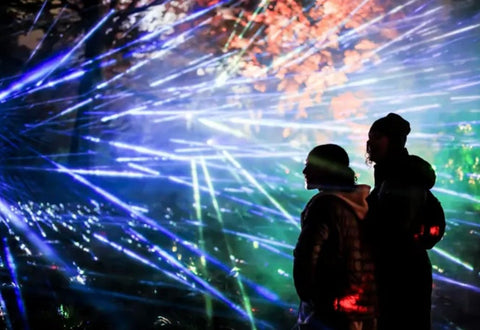 Christmas Lights at the Botanics - Made Scotland