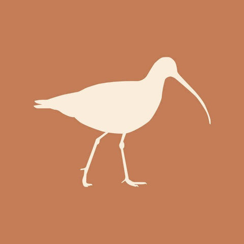 How to choose a logo: Our Avian Inspiration - Made Scotland