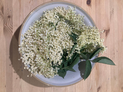 HOW TO MAKE THE BEST ELDERFLOWER CORDIAL - Made Scotland