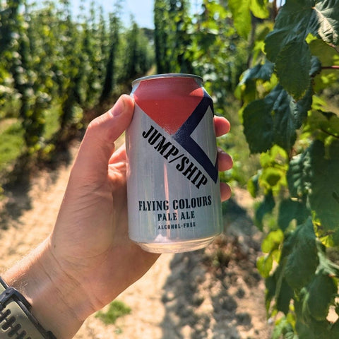 Flying Colours - alcohol free pale ale