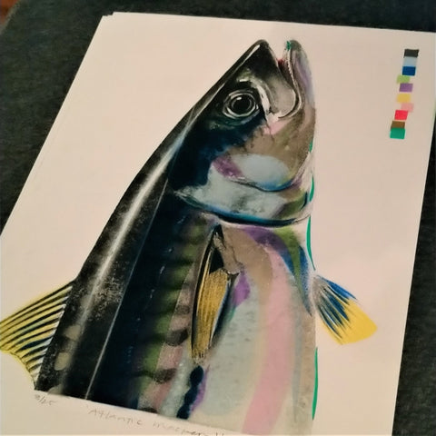 Atlantic Mackerel Original Signed Art - Bell's Galleries - Made Scotland