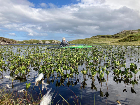 Kayaking for bog bean, this little plants adds bitter notes to wild eve