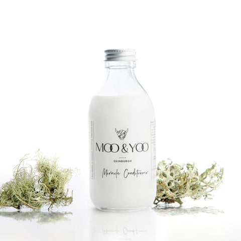 A glass bottle of Moo and Yoo Miracle conditioner with an aluminium lid on a white background with a sprig of Icelandic moss placed to each side.