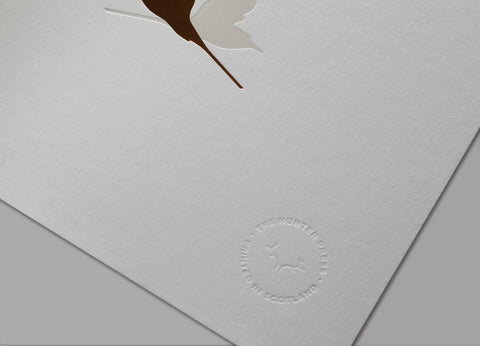 Copper Wall Art - Foil Art Print - Arctic Tern - The Hunter Press - Made Scotland