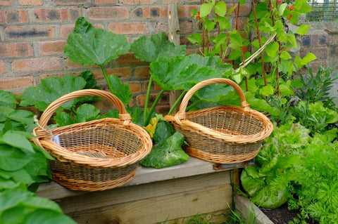 Handmade Willow Harvest Basket in Gold and Green - Anna Liebmann - Made Scotland