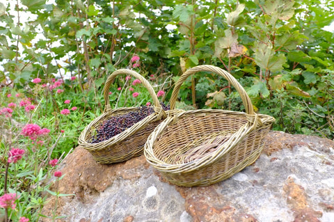 Handmade Willow Harvest Basket in Mixed Willow with Bark On - Anna Liebmann - Made Scotland