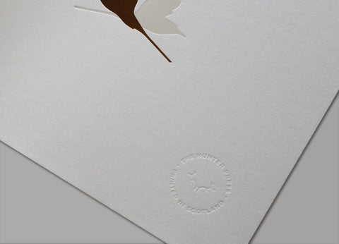 Copper Wall Art - Foil Art Print - Arctic Tern