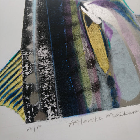 Atlantic Mackerel Original Signed Art