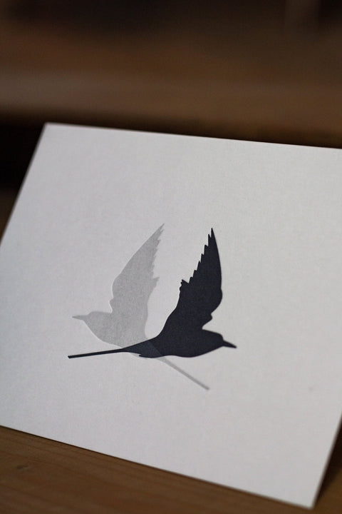 Letterpress Notecards - Arctic Terns