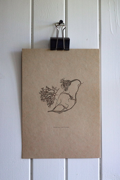 Letterpress Botanical Print Collection