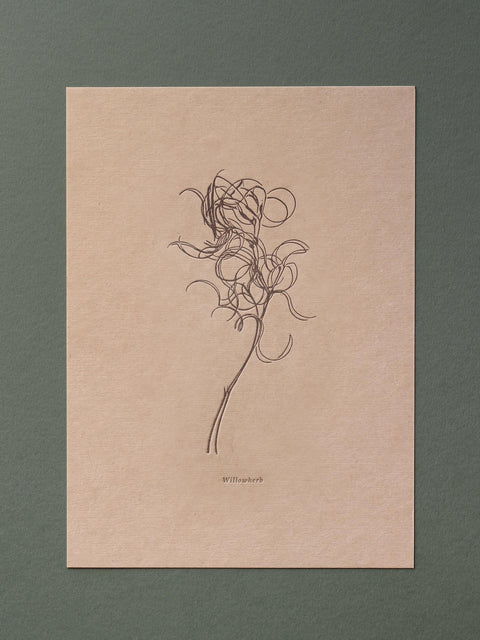 Letterpress Botanical Print Collection
