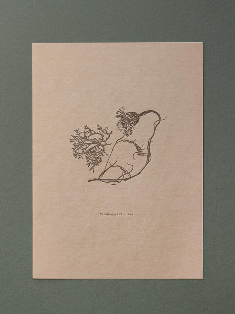 Letterpress Botanical Print Collection