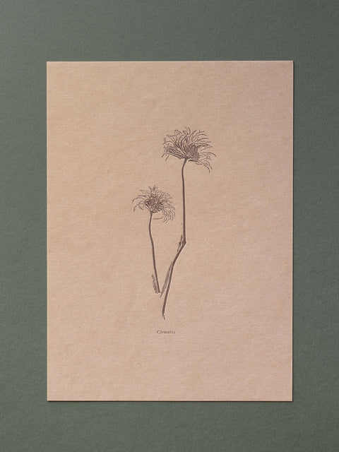 Letterpress Botanical Print Collection