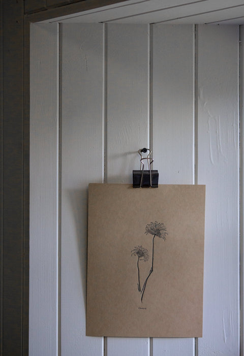 Letterpress Botanical Print - Clematis - The Hunter Press - Made Scotland