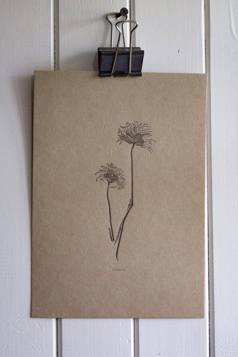 Letterpress Botanical Print - Clematis - The Hunter Press - Made Scotland