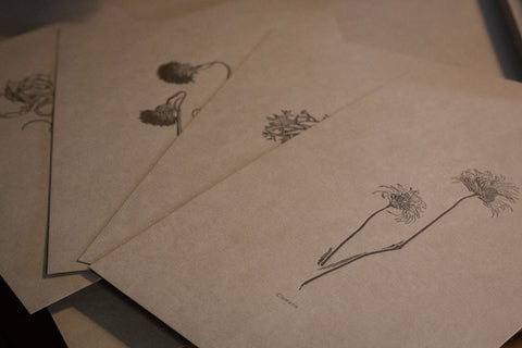 Letterpress Botanical Print Collection - The Hunter Press - Made Scotland