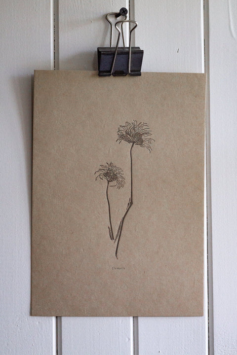 Letterpress Botanical Print Collection - The Hunter Press - Made Scotland