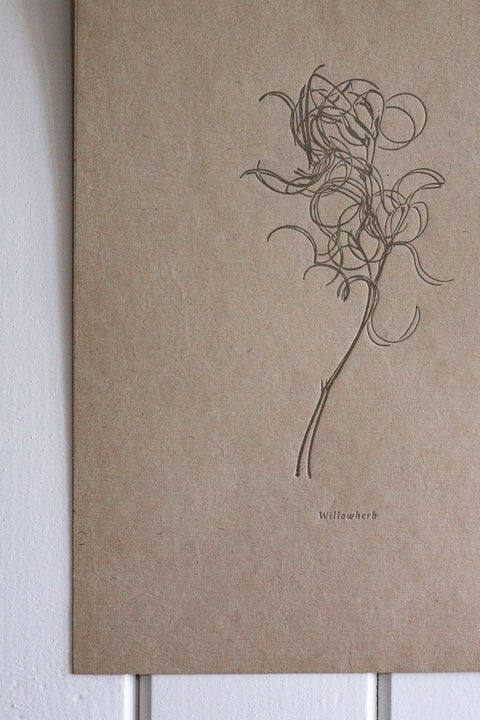 Letterpress Botanical Print - Willowherb - The Hunter Press - Made Scotland