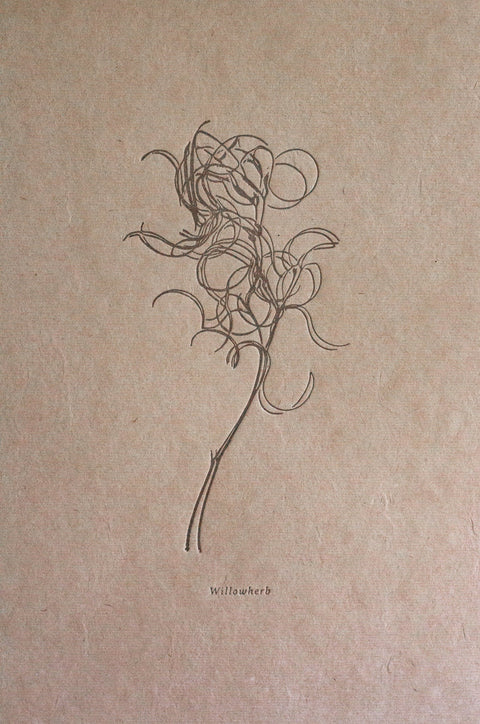 Letterpress Botanical Print - Willowherb - The Hunter Press - Made Scotland