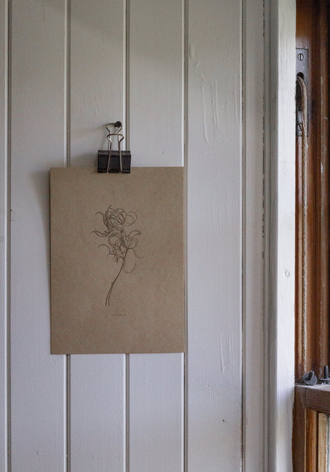 Letterpress Botanical Print - Willowherb - The Hunter Press - Made Scotland