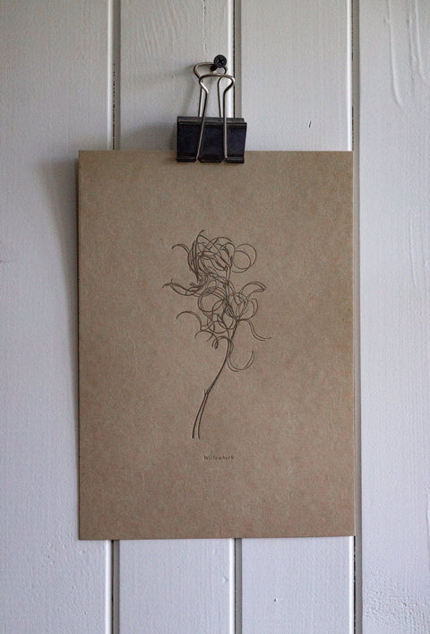 Letterpress Botanical Print - Willowherb - The Hunter Press - Made Scotland