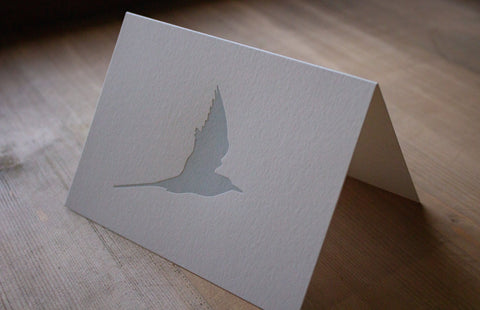 Letterpress Notecard - Arctic Tern - Pack of 6 Cards - The Hunter Press - Made Scotland