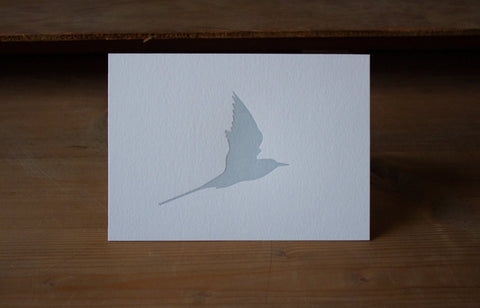 Letterpress Notecard - Arctic Tern - Pack of 6 Cards - The Hunter Press - Made Scotland