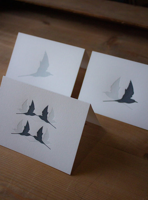 Letterpress Notecard Pack - Arctic Terns - The Hunter Press - Made Scotland
