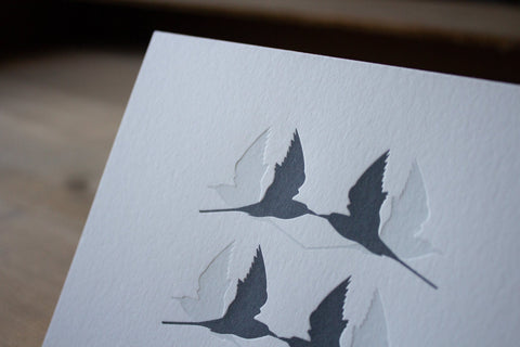 Letterpress Notecards - Arctic Terns - The Hunter Press - Made Scotland