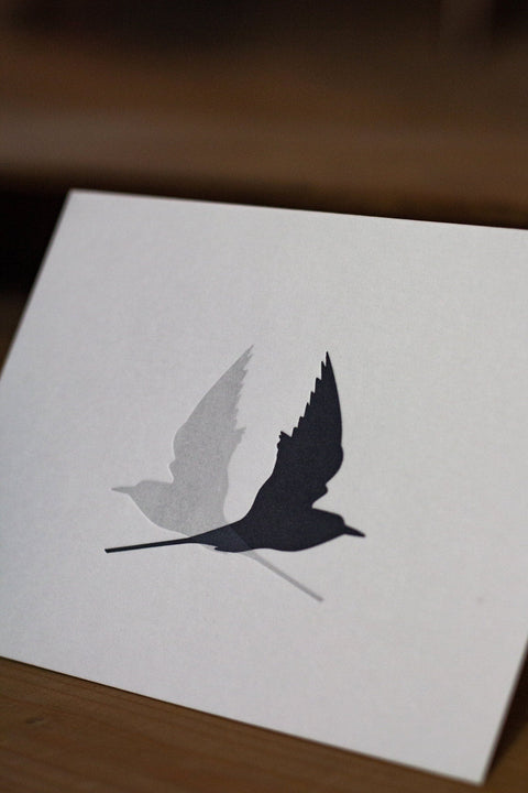 Letterpress Notecards - Arctic Terns - The Hunter Press - Made Scotland
