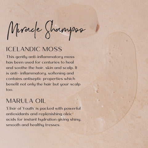 Text description of Miracle Shampoo ingredients profile on a beige background