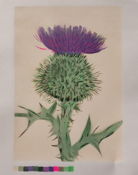 Thistle - Warm Cream - Bell's Galleries - Made Scotland