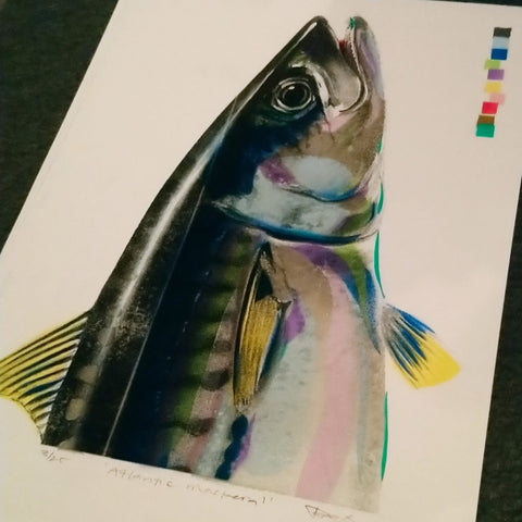 Atlantic Mackerel - Bell's Galleries - Made Scotland