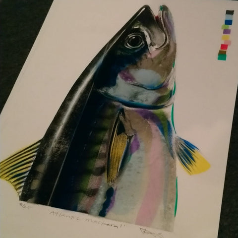 Atlantic Mackerel - Bell's Galleries - Made Scotland