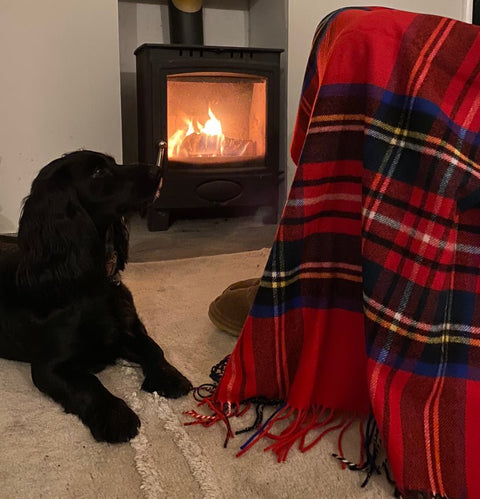 Dress Stewart Luxury Small Wool Blanket - Ava Innes - Made Scotland