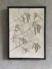 Garrya Elliptica Panel - Made Scotland