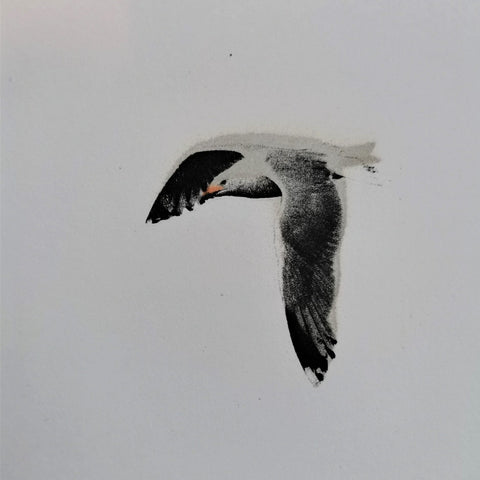 Gulls on the Tide - Bell's Galleries - Made Scotland