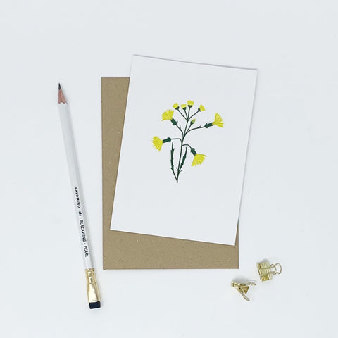 Pack of 6 Illustrated Flower Cards - Lomond Paper Co - Made Scotland