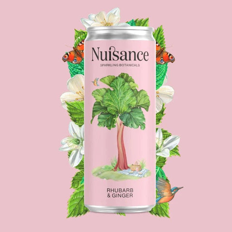 Rhubarb & Ginger - 12 X 250ml - Nuisance Drinks - Made Scotland