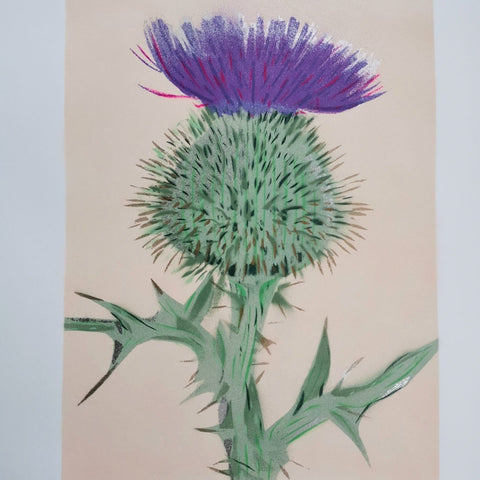 Thistle - Pale Pink - Bell's Galleries - Made Scotland