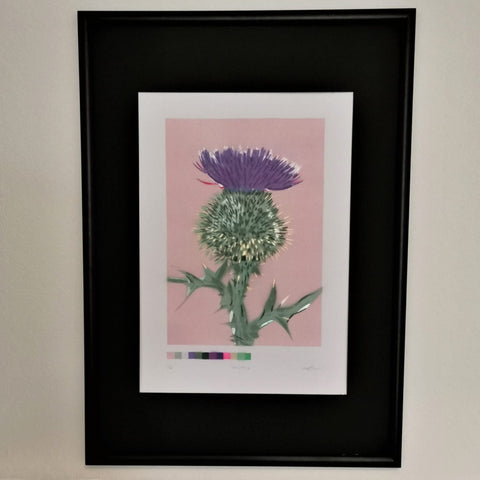 Thistle - Warm Cream - Bell's Galleries - Made Scotland